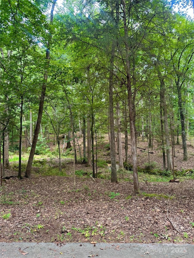 LOT6 Wilson Dr Unit 6, Fort Mill, SC 29707 - photo 5