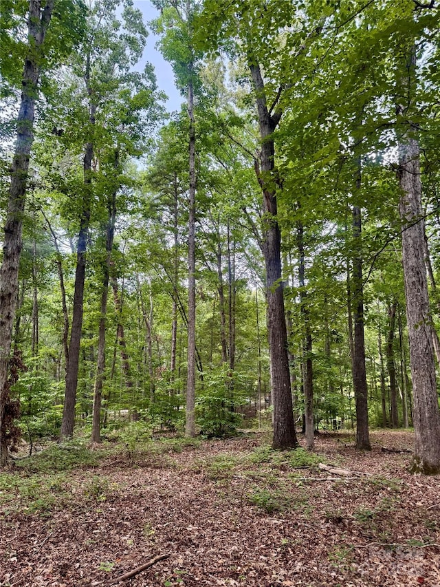 LOT6 Wilson Dr Unit 6, Fort Mill, SC 29707 - photo 6