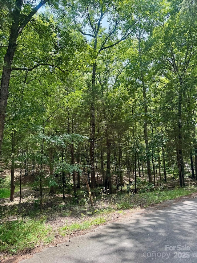 LOT6 Wilson Dr Unit 6, Fort Mill, SC 29707 - photo 7