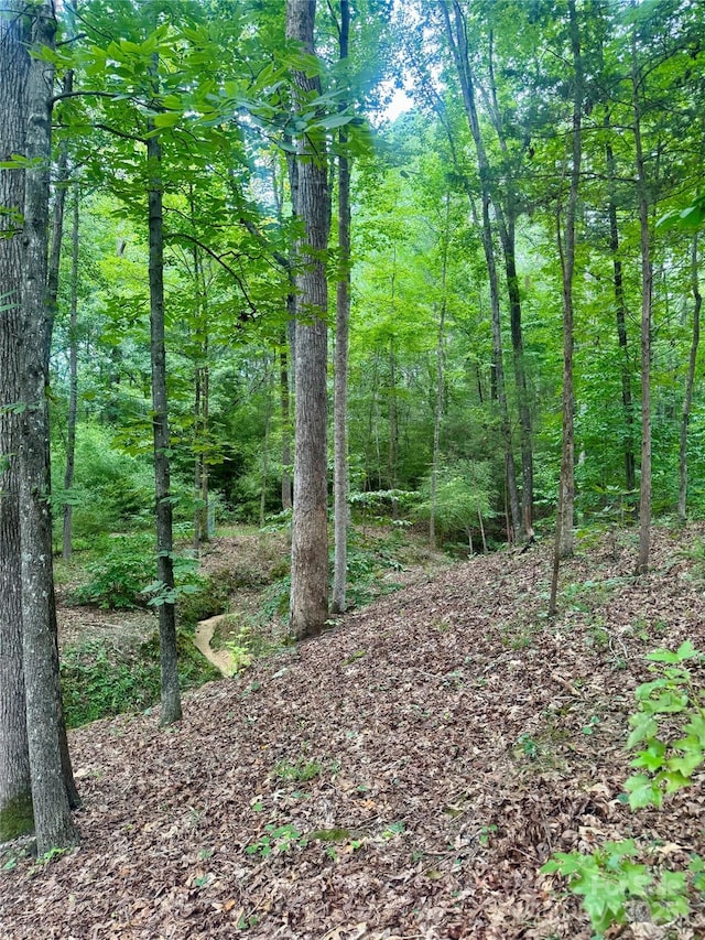 LOT6 Wilson Dr Unit 6, Fort Mill, SC 29707 - photo 8