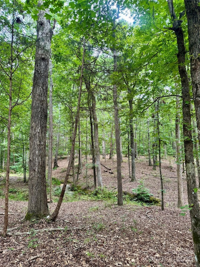 LOT6 Wilson Dr Unit 6, Fort Mill, SC 29707 - photo 9