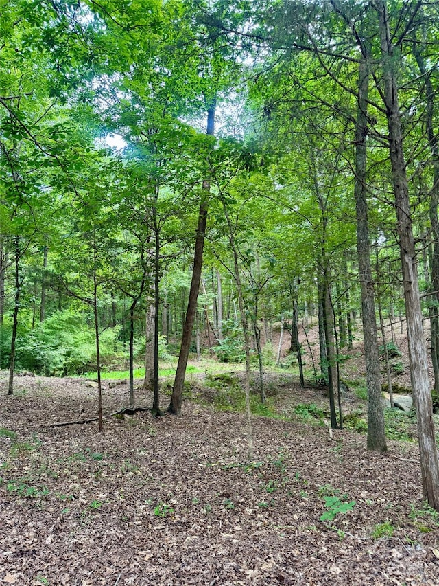 LOT6 Wilson Dr Unit 6, Fort Mill, SC 29707 - photo 10