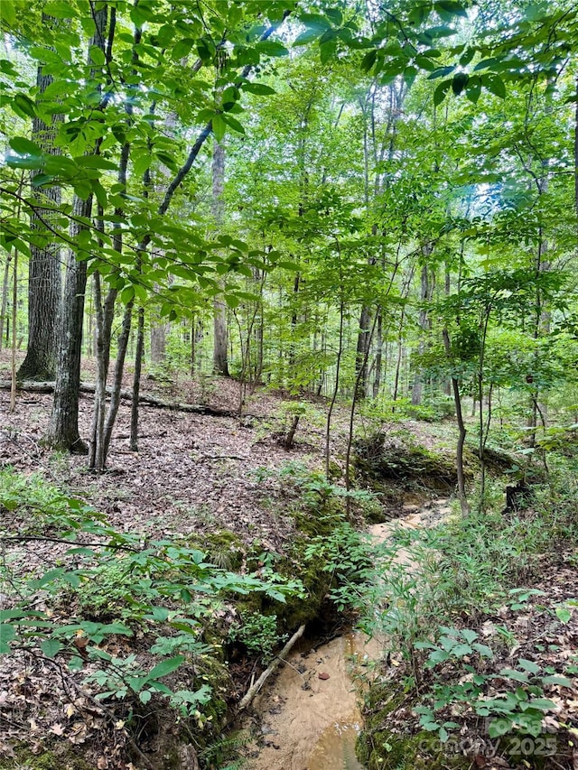 LOT6 Wilson Dr Unit 6, Fort Mill, SC 29707 - photo 11