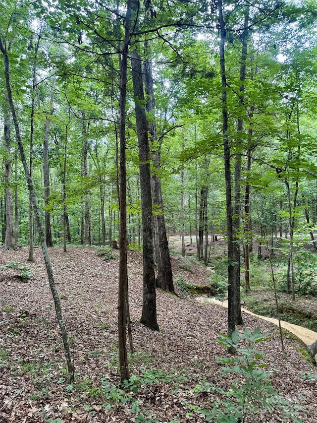 LOT6 Wilson Dr Unit 6, Fort Mill, SC 29707 - photo 12