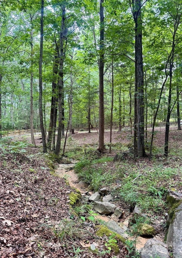 LOT6 Wilson Dr Unit 6, Fort Mill, SC 29707 - photo 13