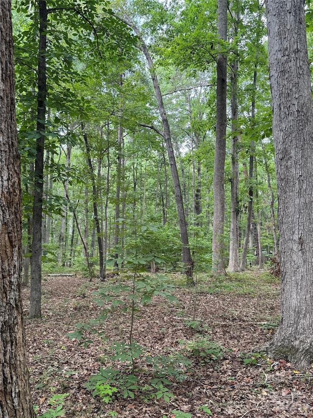 LOT6 Wilson Dr Unit 6, Fort Mill, SC 29707 - photo 15
