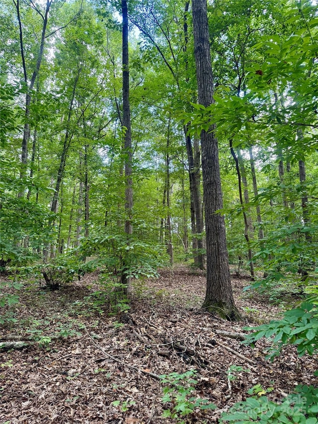 LOT6 Wilson Dr Unit 6, Fort Mill, SC 29707 - photo 16