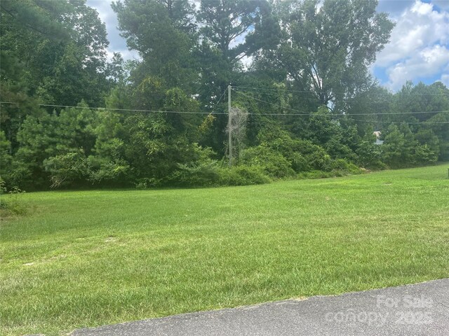 403 Mill St, Biscoe, NC 27209 - photo 31