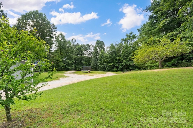 99 Holbert Mountain Rd, Zirconia, NC 28790 - photo 9