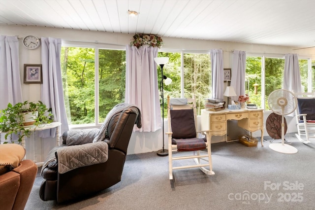 99 Holbert Mountain Rd, Zirconia, NC 28790 - photo 12