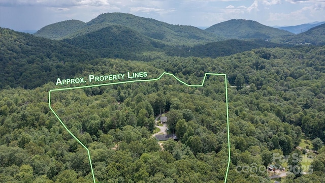 99 Holbert Mountain Rd, Zirconia, NC 28790 - photo 38