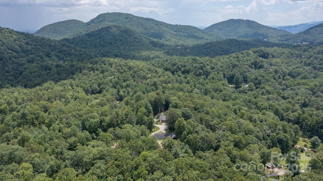 99 Holbert Mountain Rd, Zirconia, NC 28790 - photo 39