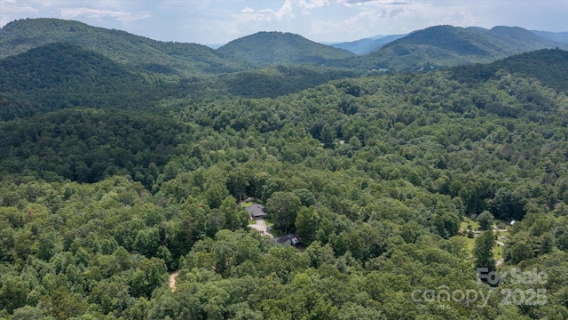 99 Holbert Mountain Rd, Zirconia, NC 28790 - photo 40