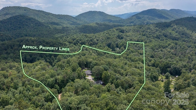 99 Holbert Mountain Rd, Zirconia, NC 28790 - photo 41