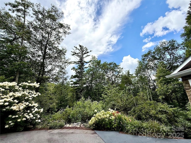 7230 Hideaway Ln, Newland, NC 28657 - photo 4
