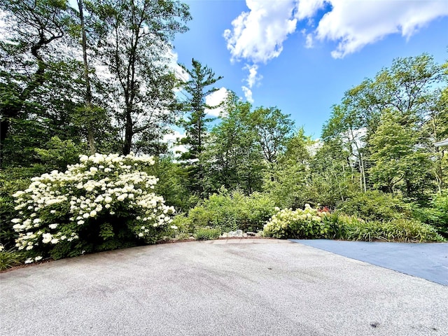 7230 Hideaway Ln, Newland, NC 28657 - photo 42