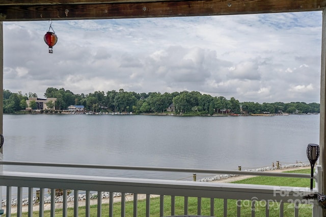 1238 Torrence Cir, Davidson, NC 28036 - photo 39