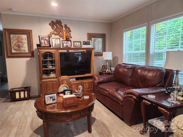 1056 Fox Creek Rd, Mars Hill, NC 28754 - photo 5