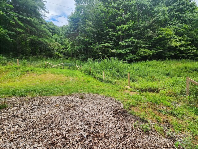 1056 Fox Creek Rd, Mars Hill, NC 28754 - photo 24