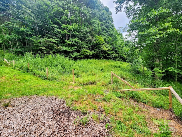 1056 Fox Creek Rd, Mars Hill, NC 28754 - photo 25