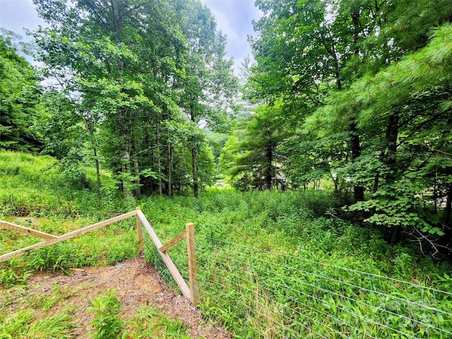 1056 Fox Creek Rd, Mars Hill, NC 28754 - photo 26