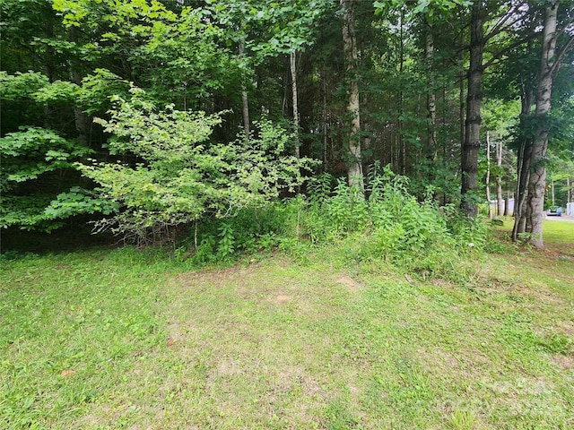1056 Fox Creek Rd, Mars Hill, NC 28754 - photo 28