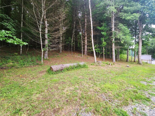 1056 Fox Creek Rd, Mars Hill, NC 28754 - photo 29