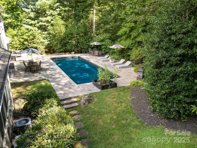 115 Ginger Quill Cir, Biltmore Lake, NC 28715 - photo 2