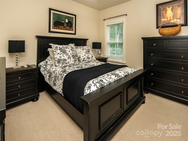 115 Ginger Quill Cir, Biltmore Lake, NC 28715 - photo 19