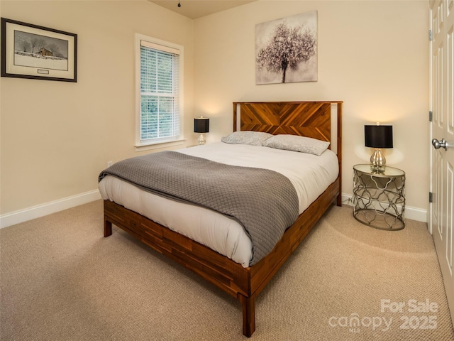 115 Ginger Quill Cir, Biltmore Lake, NC 28715 - photo 20