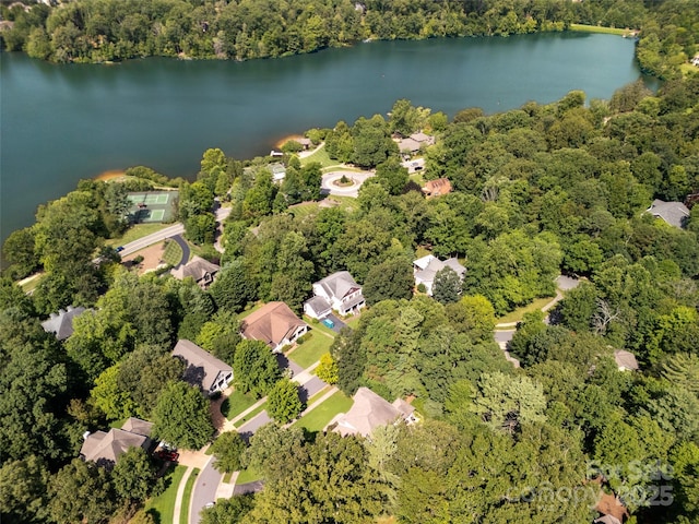 115 Ginger Quill Cir, Biltmore Lake, NC 28715 - photo 28