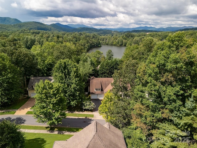 115 Ginger Quill Cir, Biltmore Lake, NC 28715 - photo 29