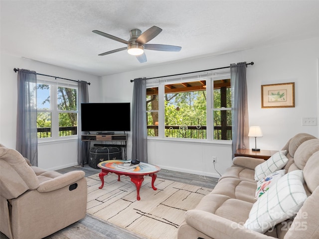 290 Turkey Pen Rd, Franklin, NC 28734 - photo 13