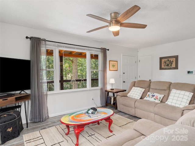 290 Turkey Pen Rd, Franklin, NC 28734 - photo 14