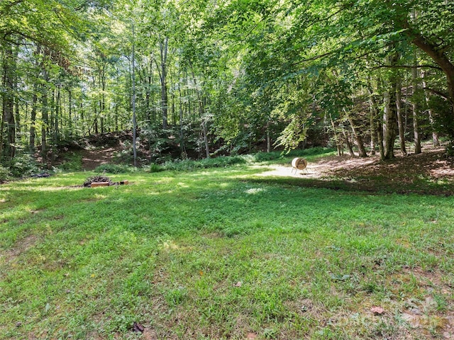 290 Turkey Pen Rd, Franklin, NC 28734 - photo 35
