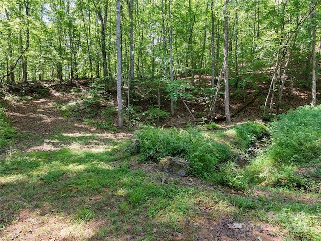 290 Turkey Pen Rd, Franklin, NC 28734 - photo 36
