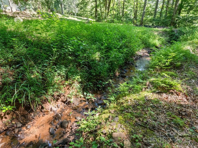 290 Turkey Pen Rd, Franklin, NC 28734 - photo 37