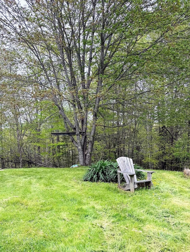 491 W Main St, Waldoboro, ME 04572 - view of green lawn