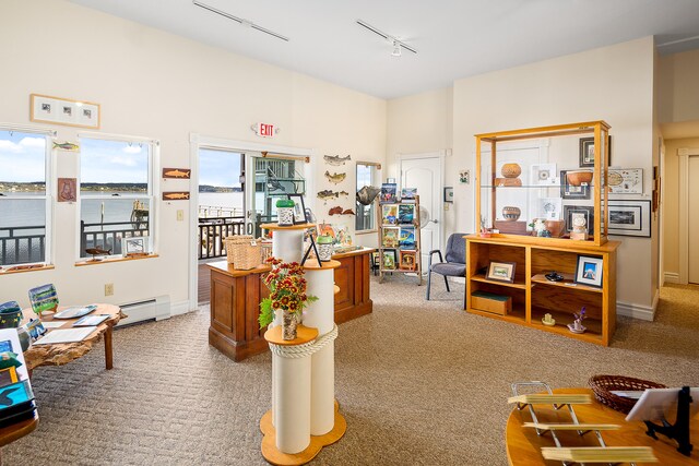 office space featuring a baseboard heating unit, a wealth of natural light, light colored carpet, and rail lighting