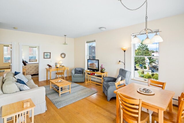 living room with a healthy amount of sunlight and light hardwood / wood-style floors