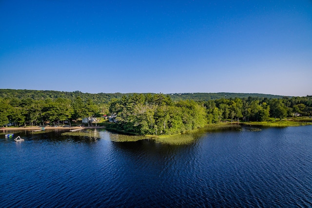 view of water view