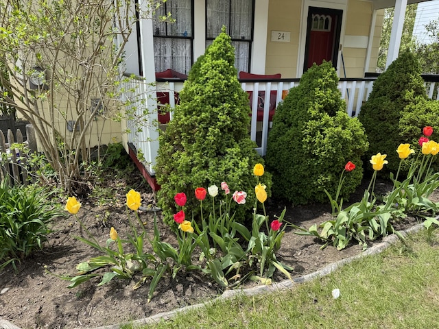 24 Glidden St, Waldoboro, ME 04572 - view of yard