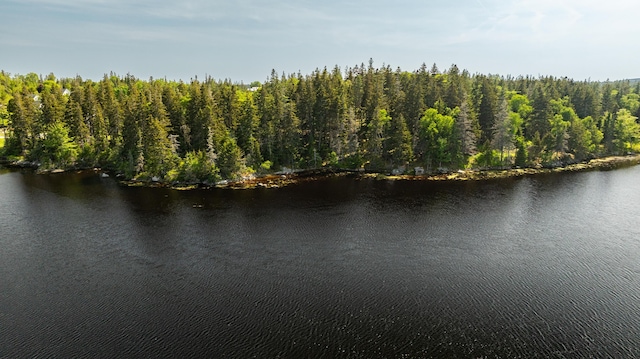 0A Old Harbor Rd, Vinalhaven, ME 04863 - photo 18