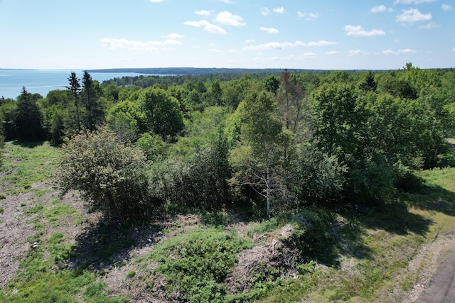 LOT52 US Route 1, Robbinston, ME 04671