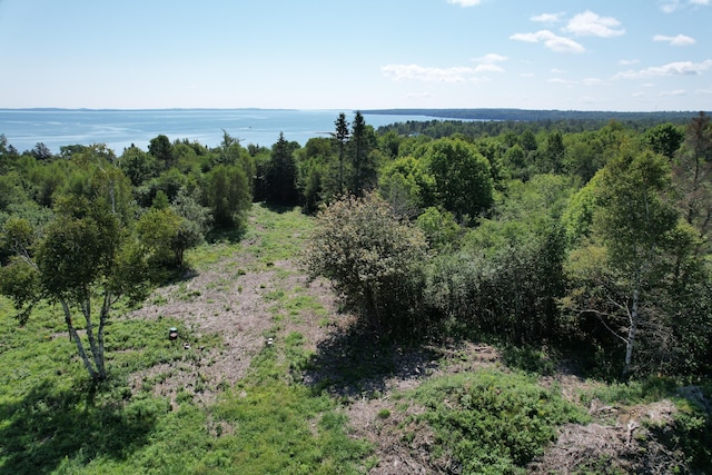 LOT52 US Route 1, Robbinston, ME 04671