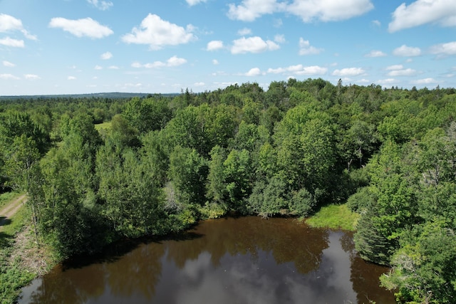 LOT52 US Route 1, Robbinston, ME 04671
