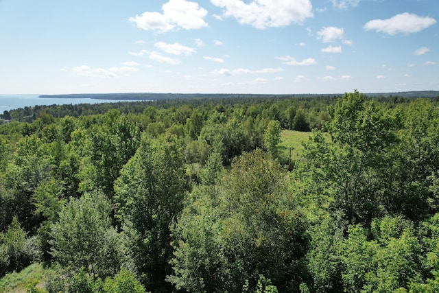 LOT52 US Route 1, Robbinston, ME 04671