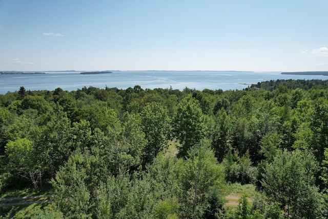 LOT52 US Route 1, Robbinston, ME 04671