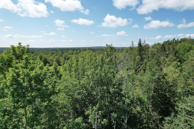 LOT52 US Route 1, Robbinston, ME 04671