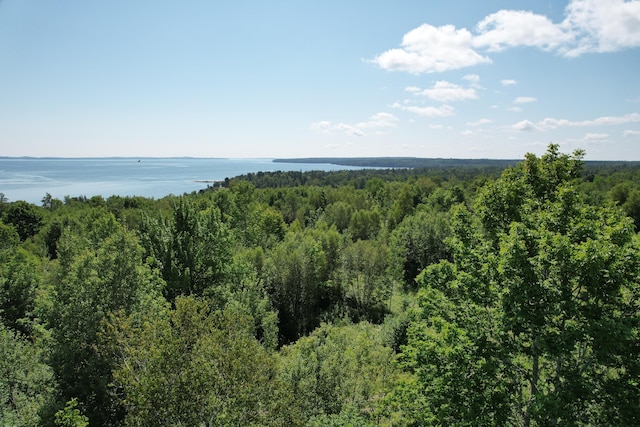 LOT52 US Route 1, Robbinston, ME 04671